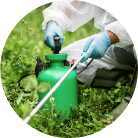 Crop Health
