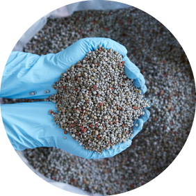 Fertilizers